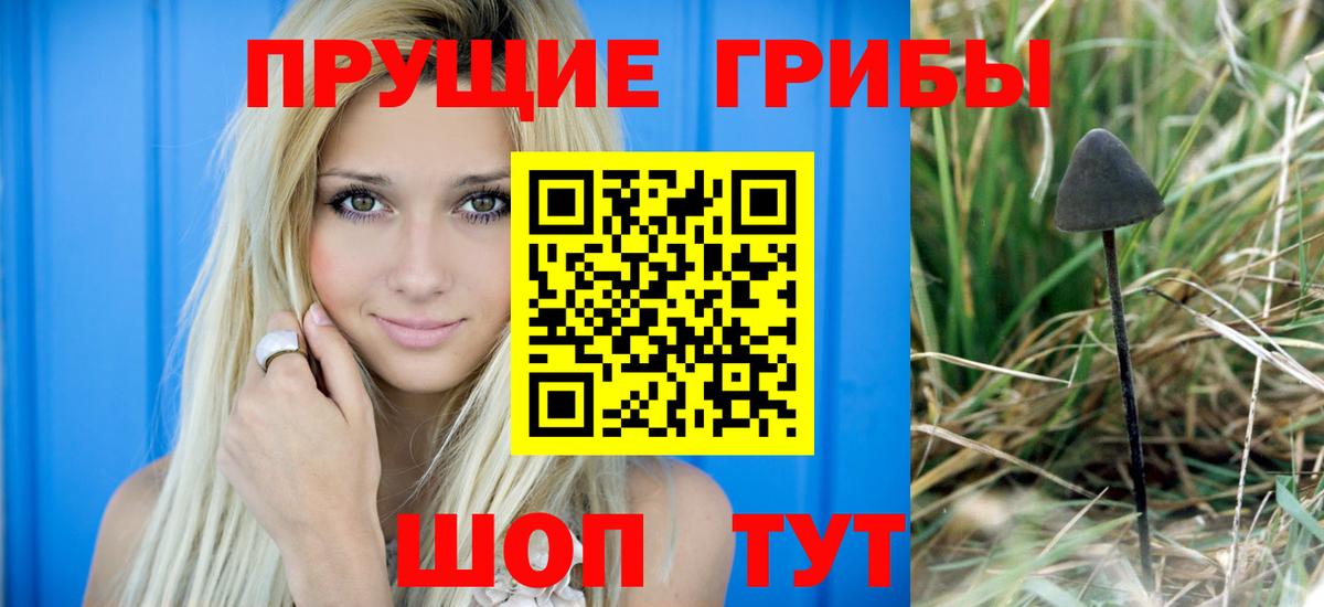 Псилоцибиновые грибы Magic Shrooms  Галлюциногенные грибы ЛСД  Тихорецк  Вход с VPN 